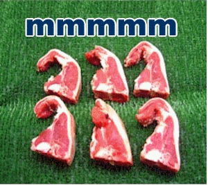 http://www.liquidpoker.net/staff/Daut/migchops.gif