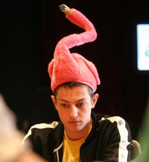 tom dwan gay